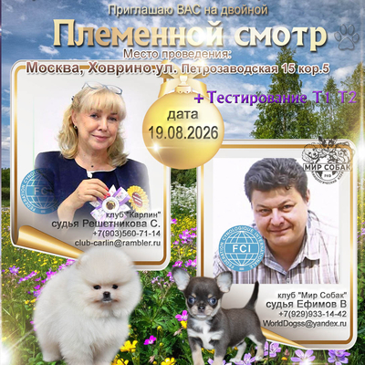 Продается Запись на ПС всех пород