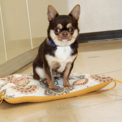 Валентра стар