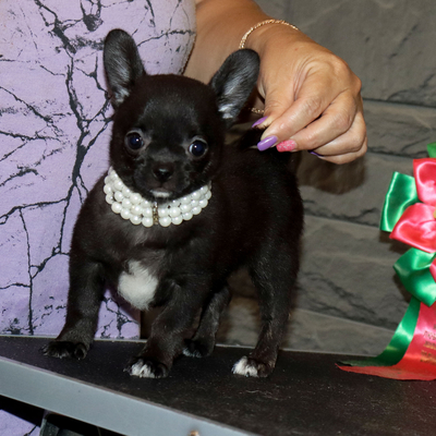 Валентра стар