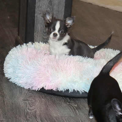 Валентра стар