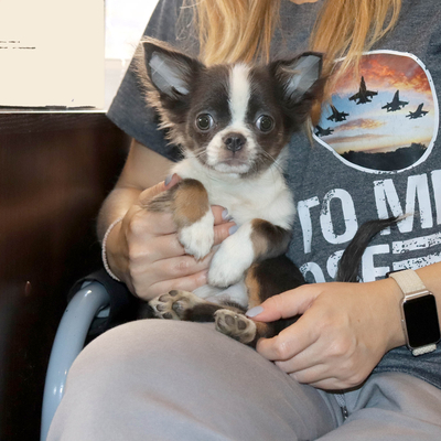 Валентра стар