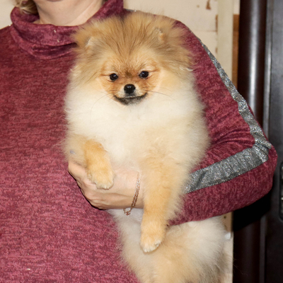 Валентра стар