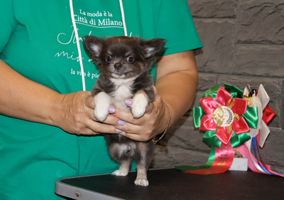 Валентра стар