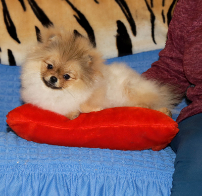 Валентра стар