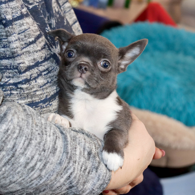 Валентра стар