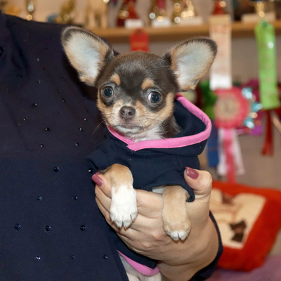 Валентра стар