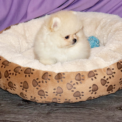 Валентра стар