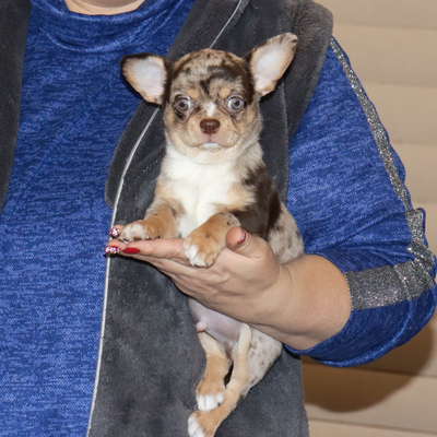 Валентра стар