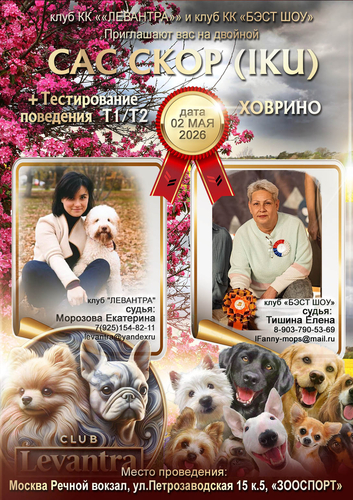 Валентра стар