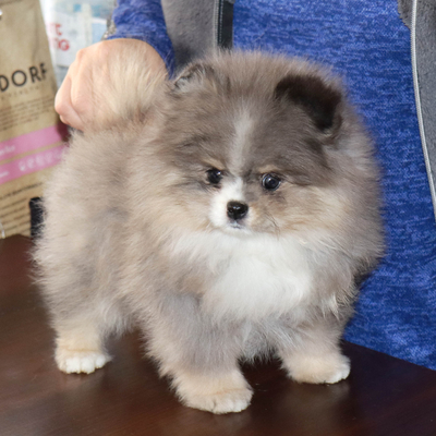 Валентра стар