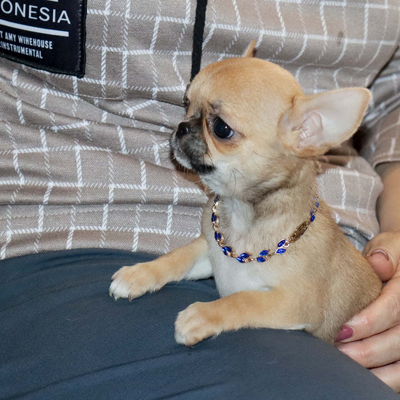 Валентра стар