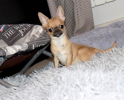 Валентра стар