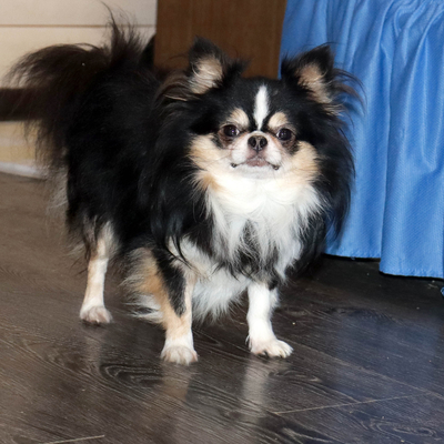 Продается Символ Желания Викинг