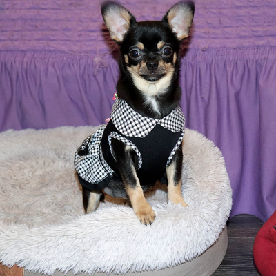 Валентра стар