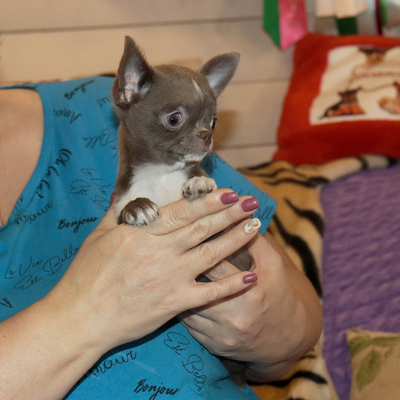 Валентра стар