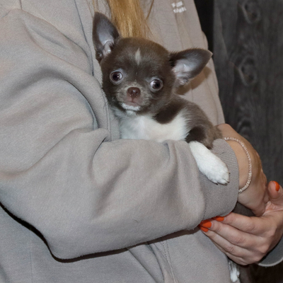 Валентра стар