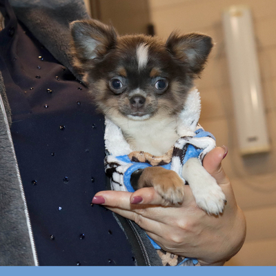 Валентра стар