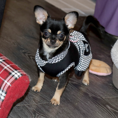 Валентра стар