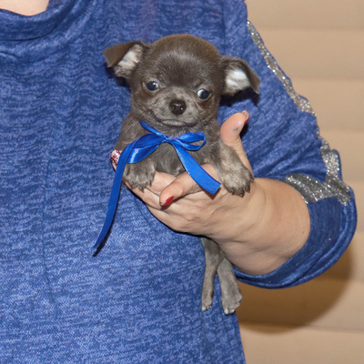 Валентра стар