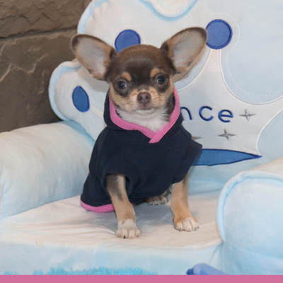 Валентра стар