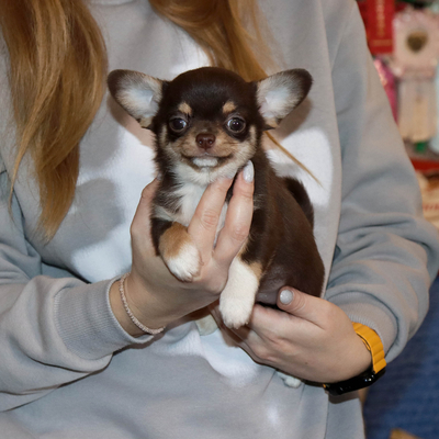 Валентра стар