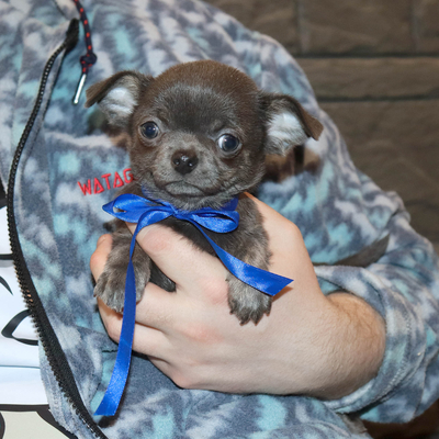 Валентра стар