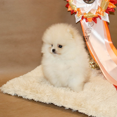 Валентра стар