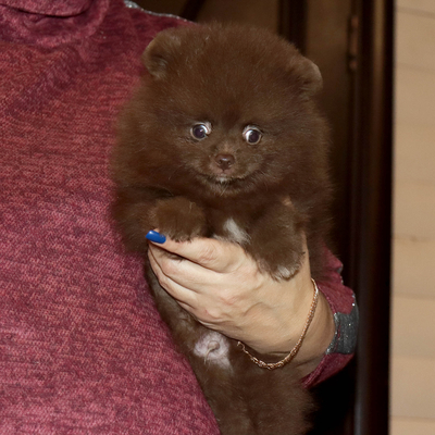 Валентра стар