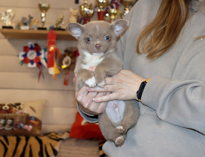 Валентра стар