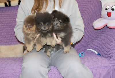 Валентра стар