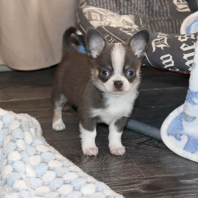 Валентра стар