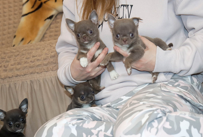 Валентра стар