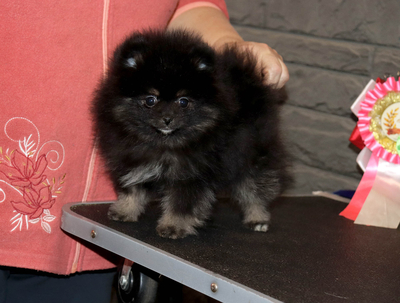 Валентра стар