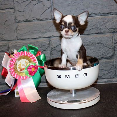 Валентра стар