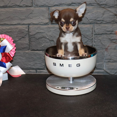 Валентра стар