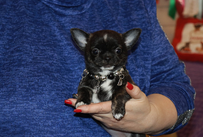 Валентра стар