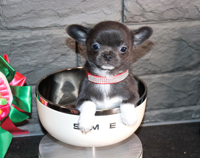 Валентра стар