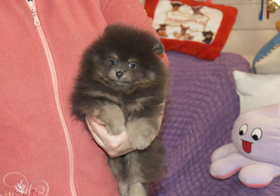 Валентра стар