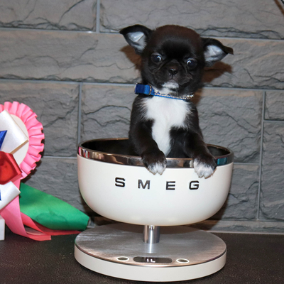 Валентра стар