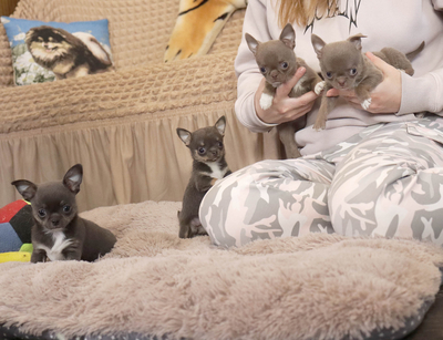 Валентра стар