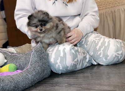 Валентра стар