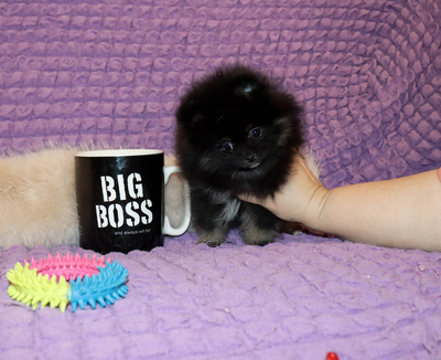 Валентра стар